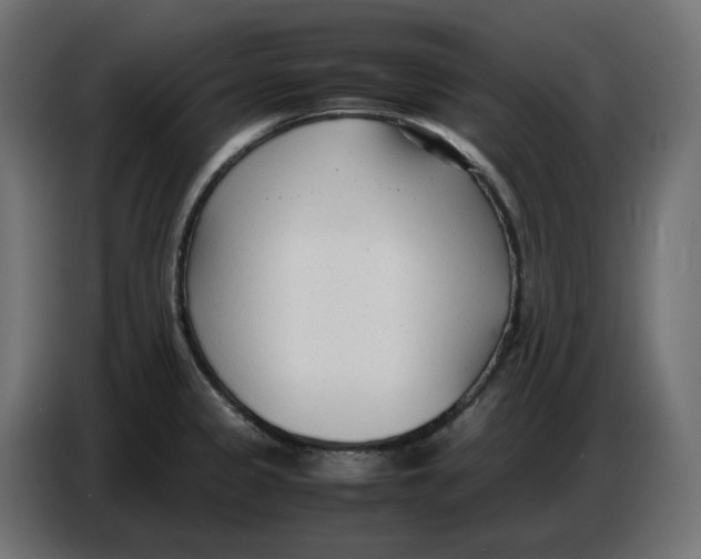 X0000086721333200705041320