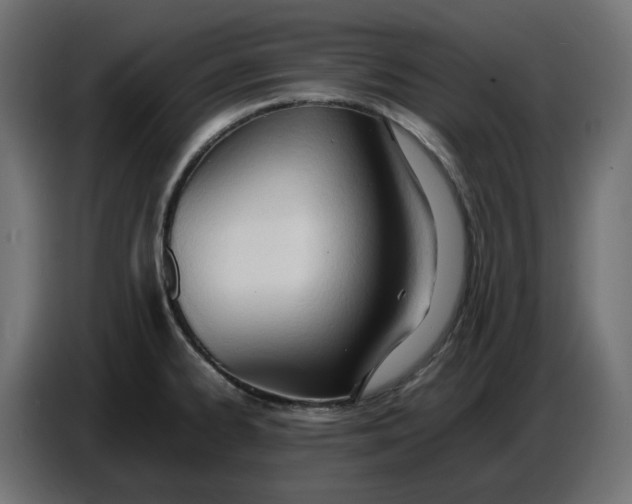 X0000086721334200705041320