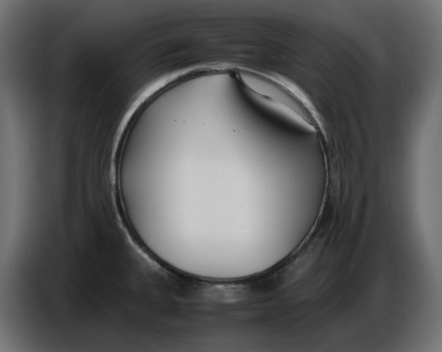 X0000086721335200705041320