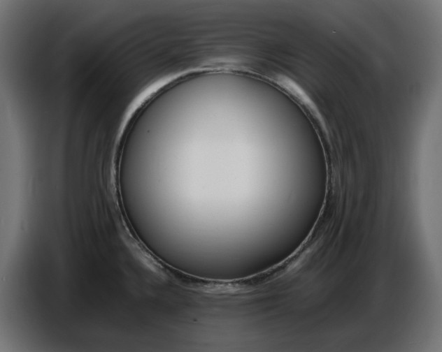 X0000086721336200705041320