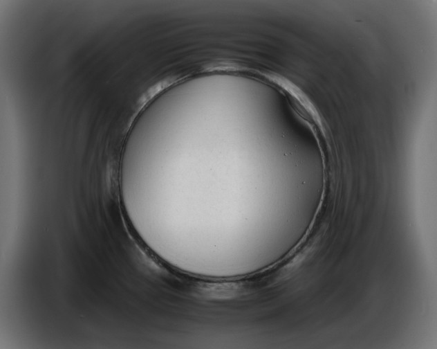 X0000086721337200705041320