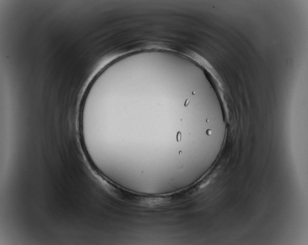X0000086721339200705041320