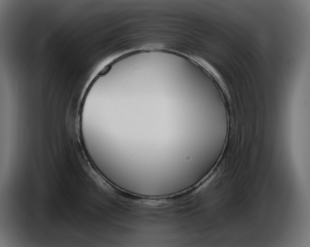 X0000086721340200705041320