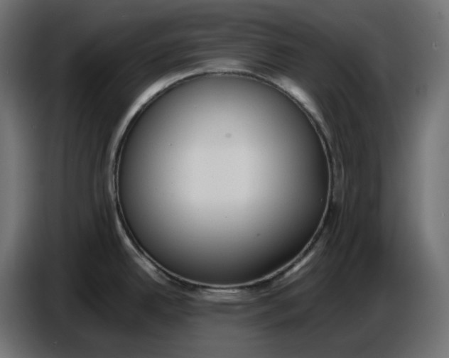 X0000086721342200705041320