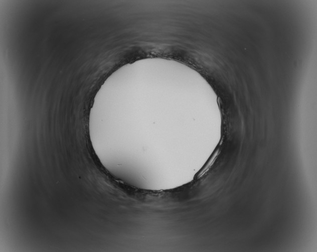 X0000086721345200705041319