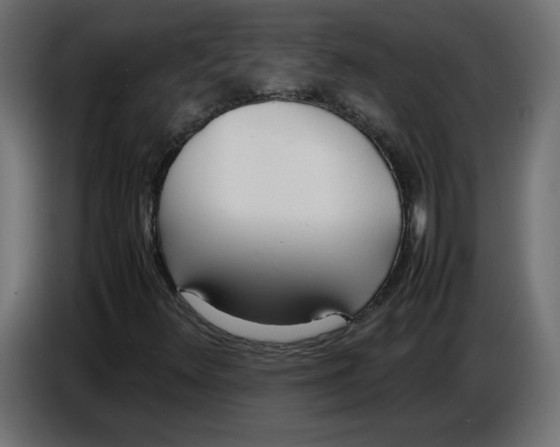X0000086721348200705041319