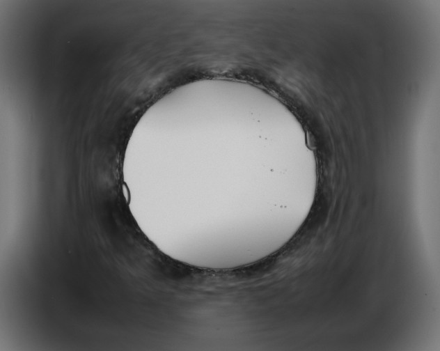 X0000086721349200705041319