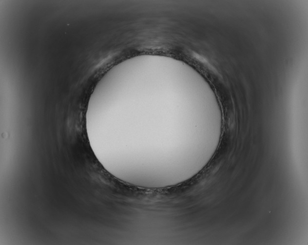 X0000086721350200705041319