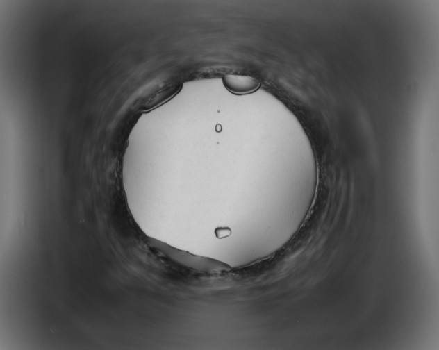X0000086721351200705041319