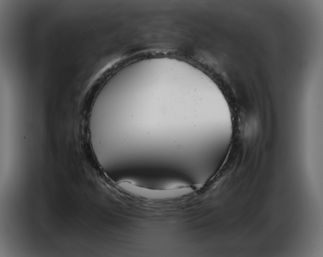 X0000086721352200705041319