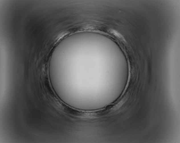 X0000086721353200705041319
