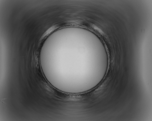 X0000086721354200705041319