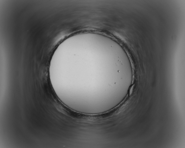 X0000086721355200705041319
