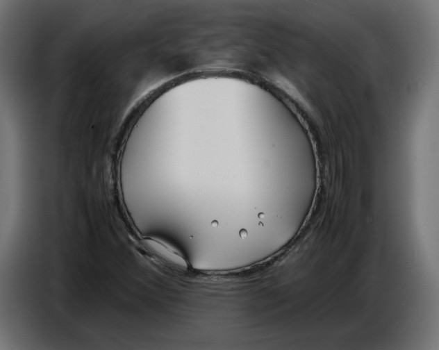 X0000086721356200705041319