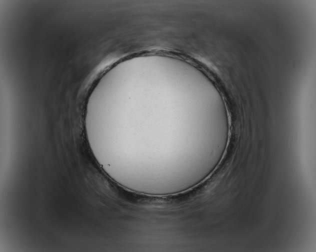X0000086721359200705041319