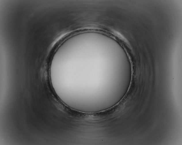 X0000086721360200705041319