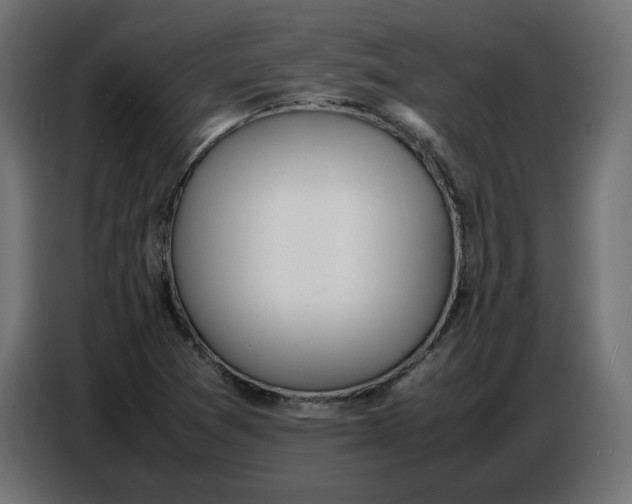 X0000086721361200705041319