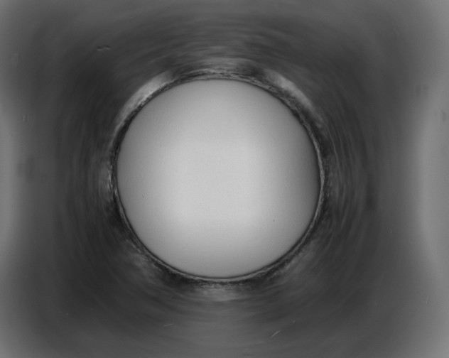 X0000086721362200705041319