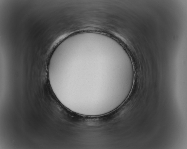 X0000086721363200705041319