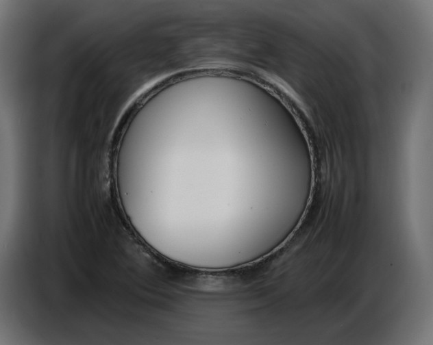X0000086721364200705041319