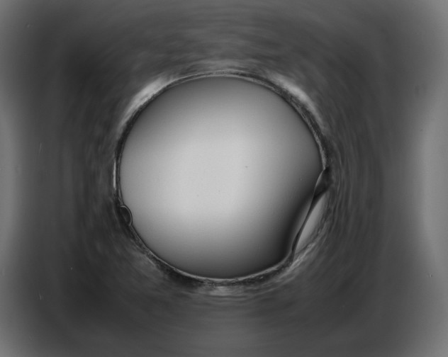 X0000086721365200705041319