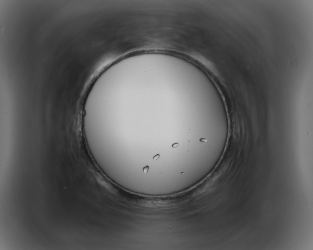 X0000086721366200705041319