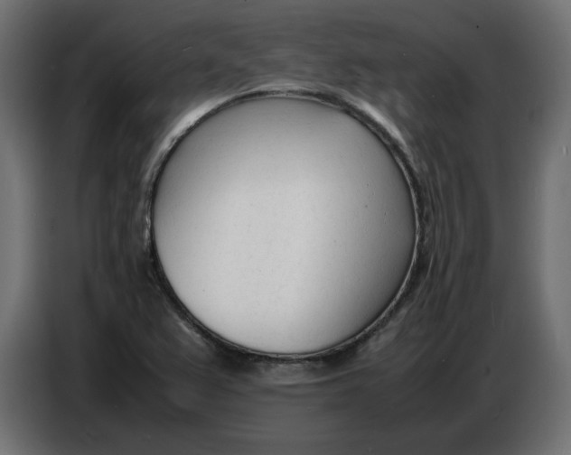 X0000086721367200705041319