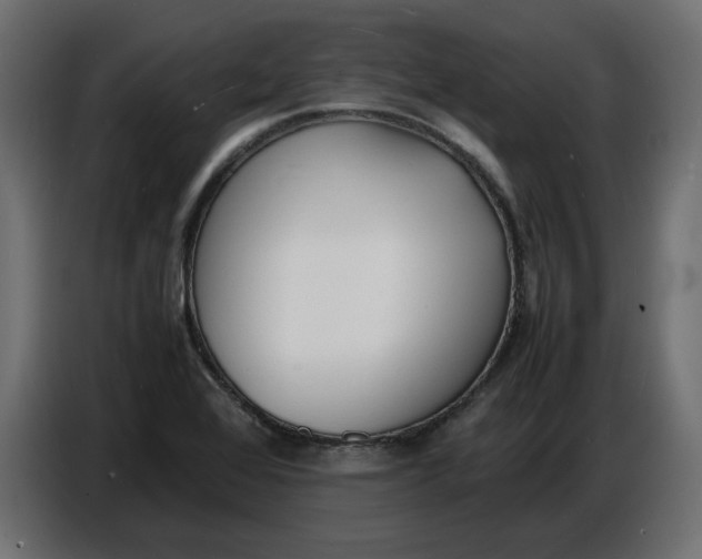 X0000086721368200705041319