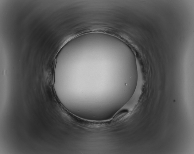 X0000086721369200705041319