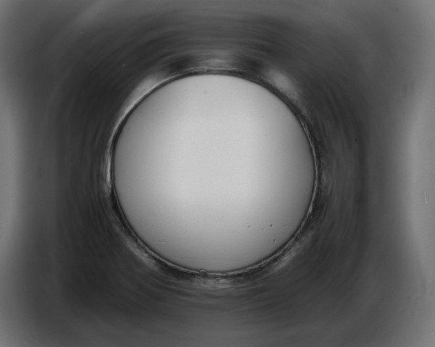 X0000086721370200705041319