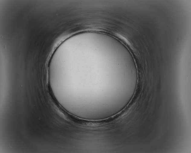 X0000086721371200705041319