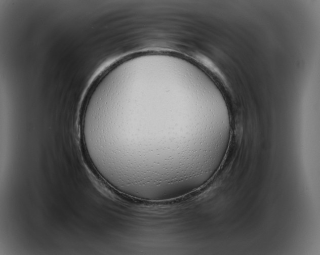 X0000086721372200705041319