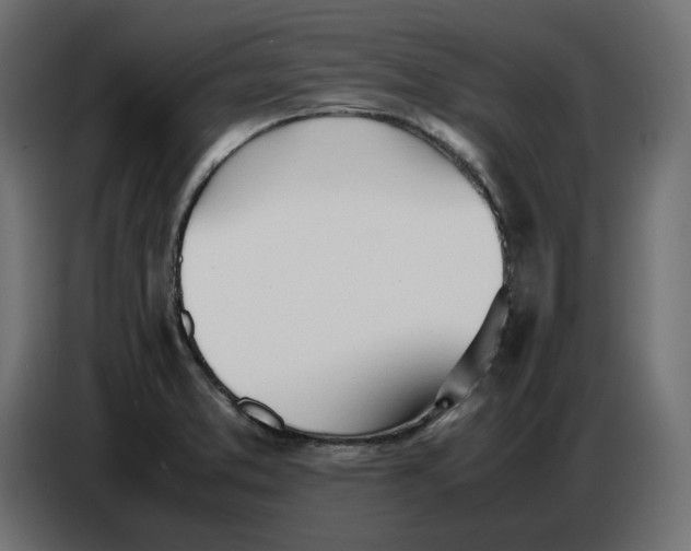 X0000086721373200705041319