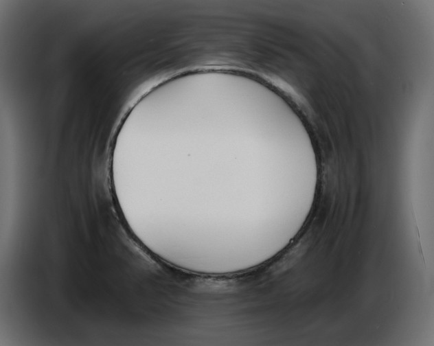 X0000086721374200705041319