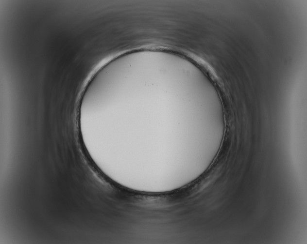 X0000086721375200705041319