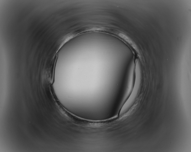 X0000086721377200705041319