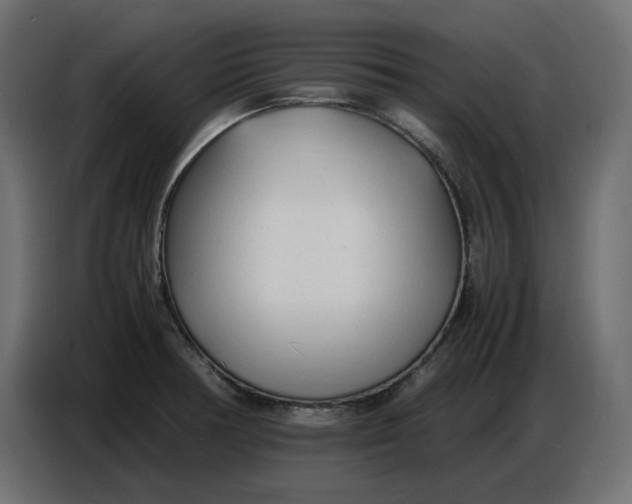 X0000086721378200705041319