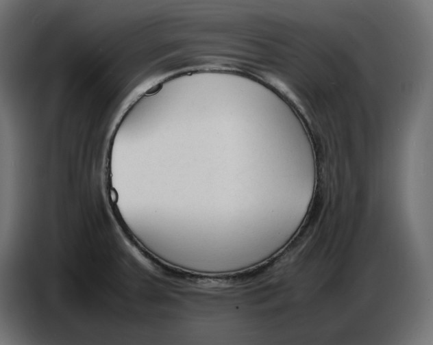 X0000086721379200705041319