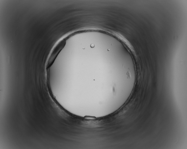 X0000086721380200705041319