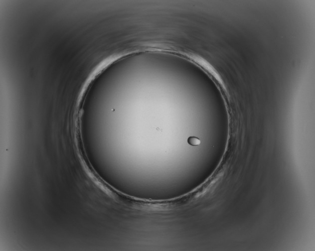 X0000086721381200705041319