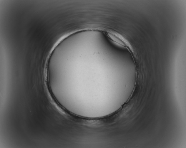 X0000086721383200705041319