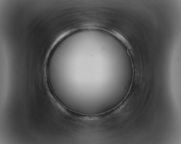 X0000086721384200705041319