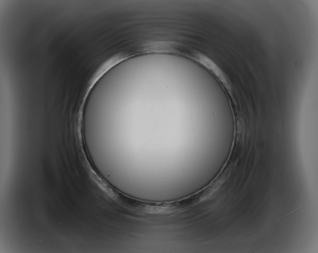 X0000086721386200705041319