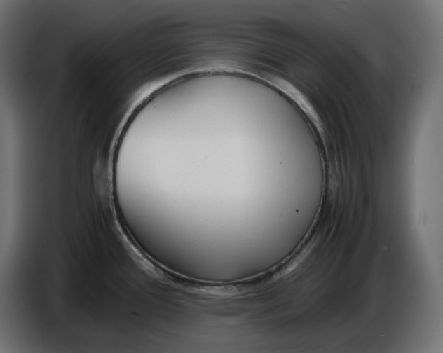 X0000086721388200705041319
