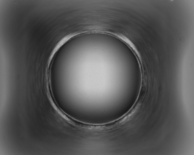 X0000086721389200705041319