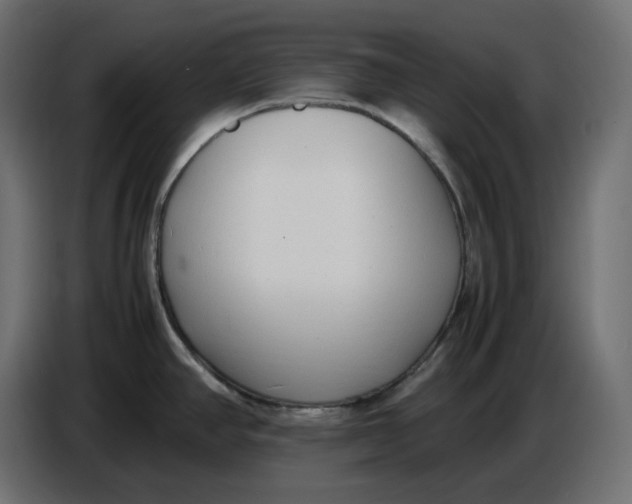 X0000086721390200705041319