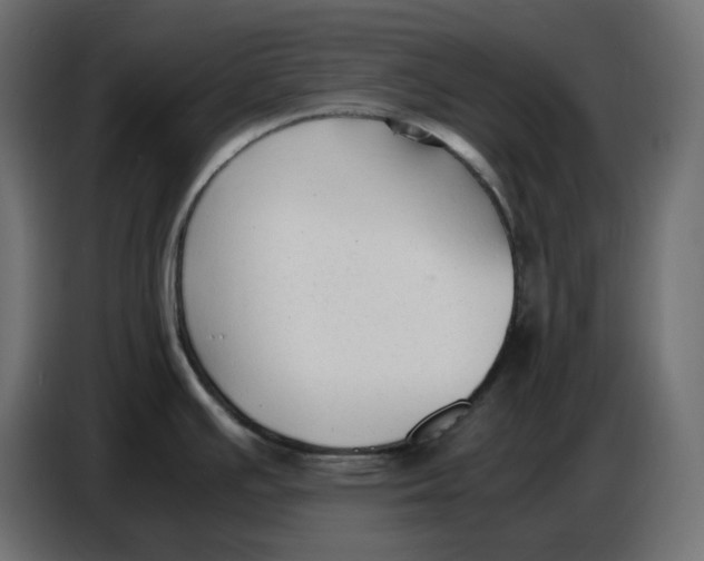 X0000086721391200705041319