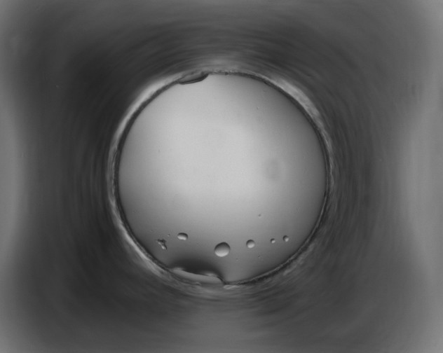 X0000086721392200705041319
