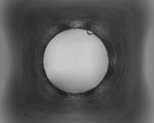 X0000086721393200705041318
