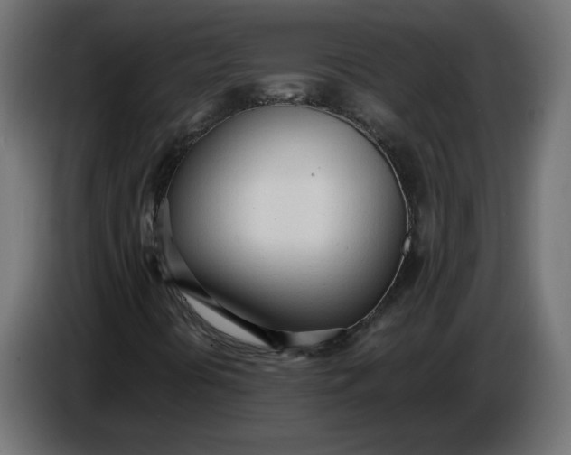 X0000086721394200705041318